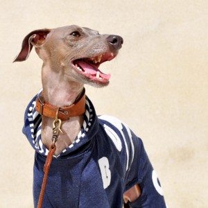 世界に１着のお洋服