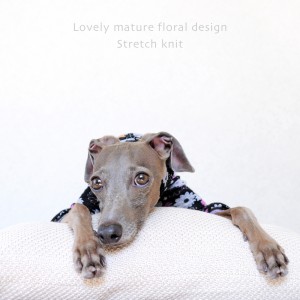 モデルのお仕事中♪