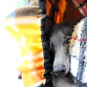 チラっ！外は寒い？