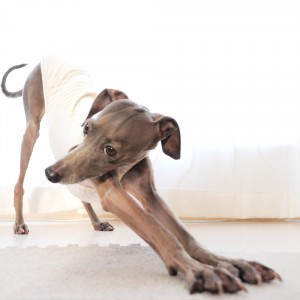 のび〜〜〜いぃ〜。