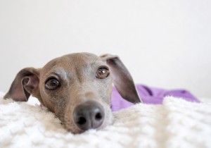 ぽかぽか日曜日です