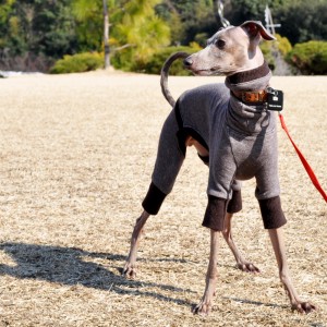 自由なことが楽しい