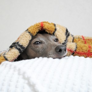 眠たい雨の月曜日①