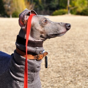 自由なことが楽しい