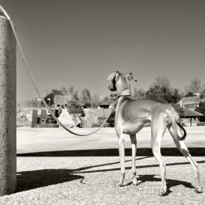 裸が一番かっこいい！