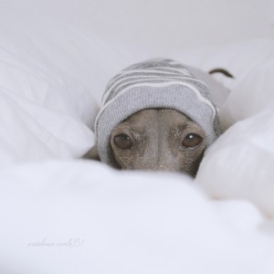 もぐもぐ、もぐら？