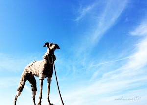 青い海と青い空と