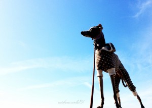 青い海と青い空と