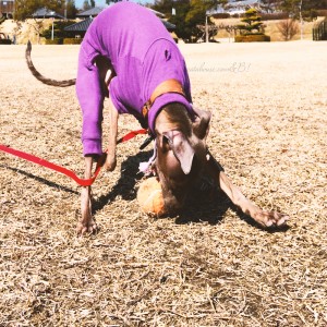 るんるん。ガブッ！