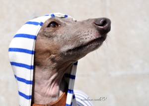 雨やまないかなあ。