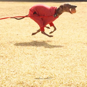 ビョーンーーーー♪♪