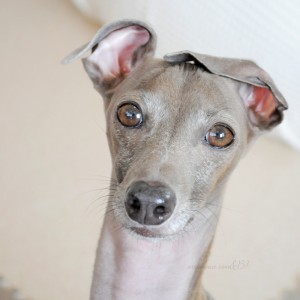 うん！？どうした？