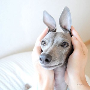 いいかおしてるっ！