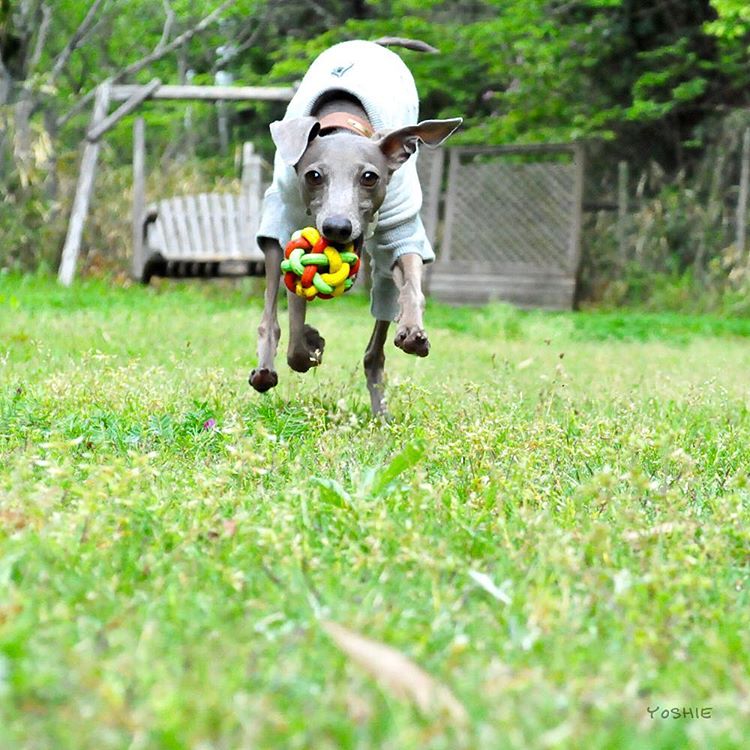 イェーイ⤴︎⤴︎いい顔。