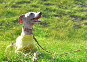 たまには言うて！！