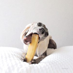 かっったいわぁ〜!!