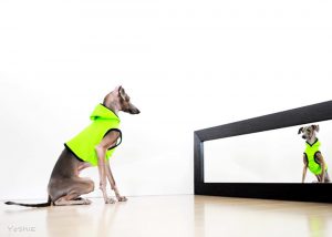 オレってイケてる？