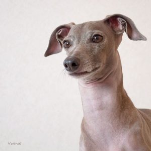 お肌カサカサ・・?