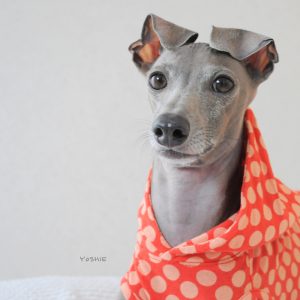 Buono!の１日です