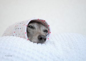 あさのひとこま??