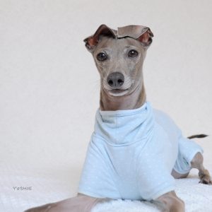 ぱじゃまでおはよ