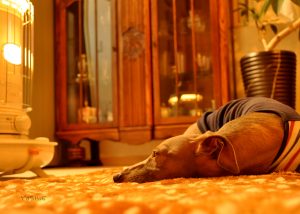 あったかいねぇ✨