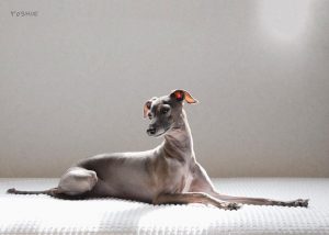 ぽかぽか??裸✨