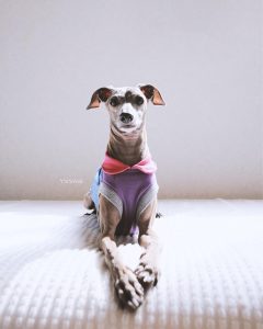 ずーっと見てる?