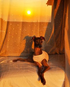 僕の大好きな場所