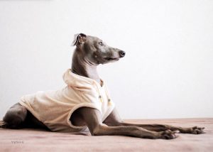 ずっと外を眺める