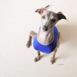 オハヨ?オハヨ?