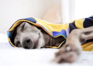 B!に恋しちゃう。