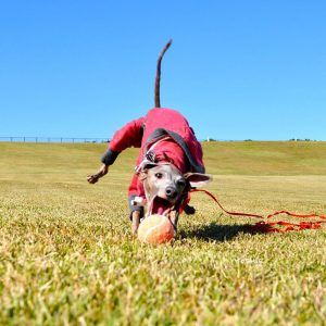 ５才の誕生日??