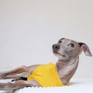 ぼくのなまえは！