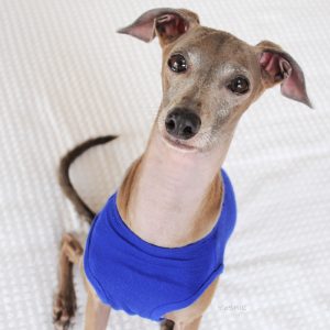 じーっと(･_ ･).