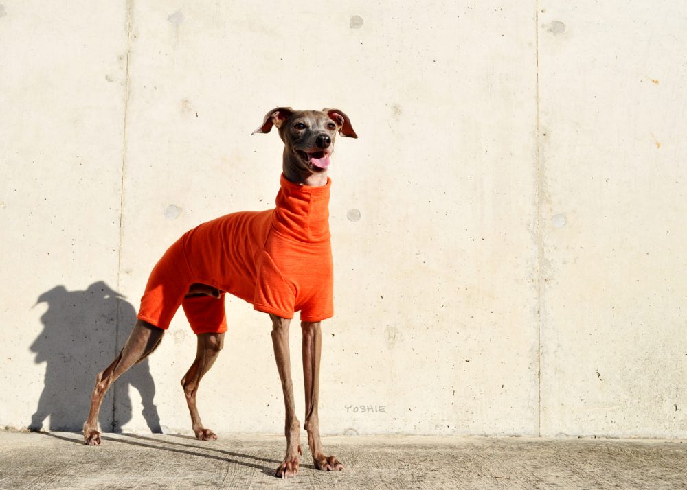 秋のお洋服と笑顔