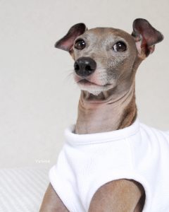 かゆいかゆい。。