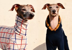 ぼくの兄弟！！！