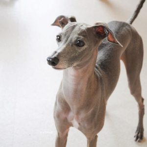 綺麗に治ったよ。