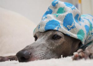 台風・・・・・・