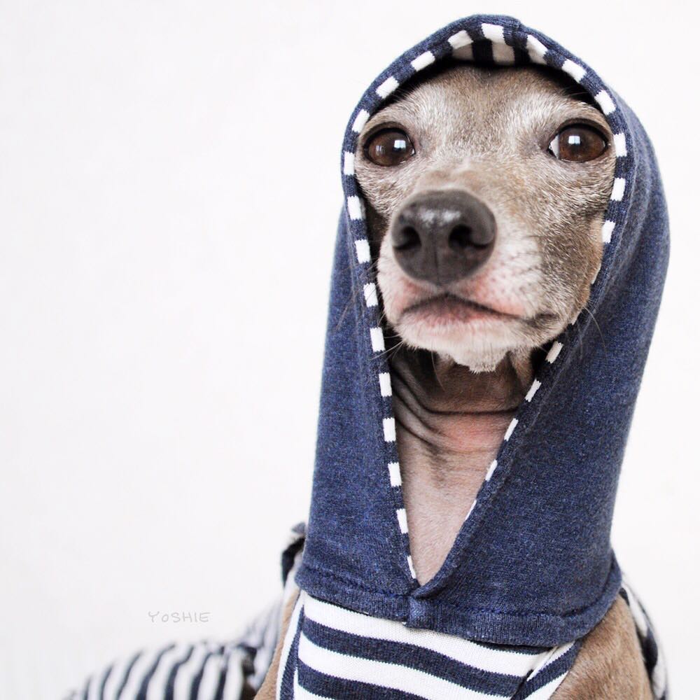 起きたよ、おはよ