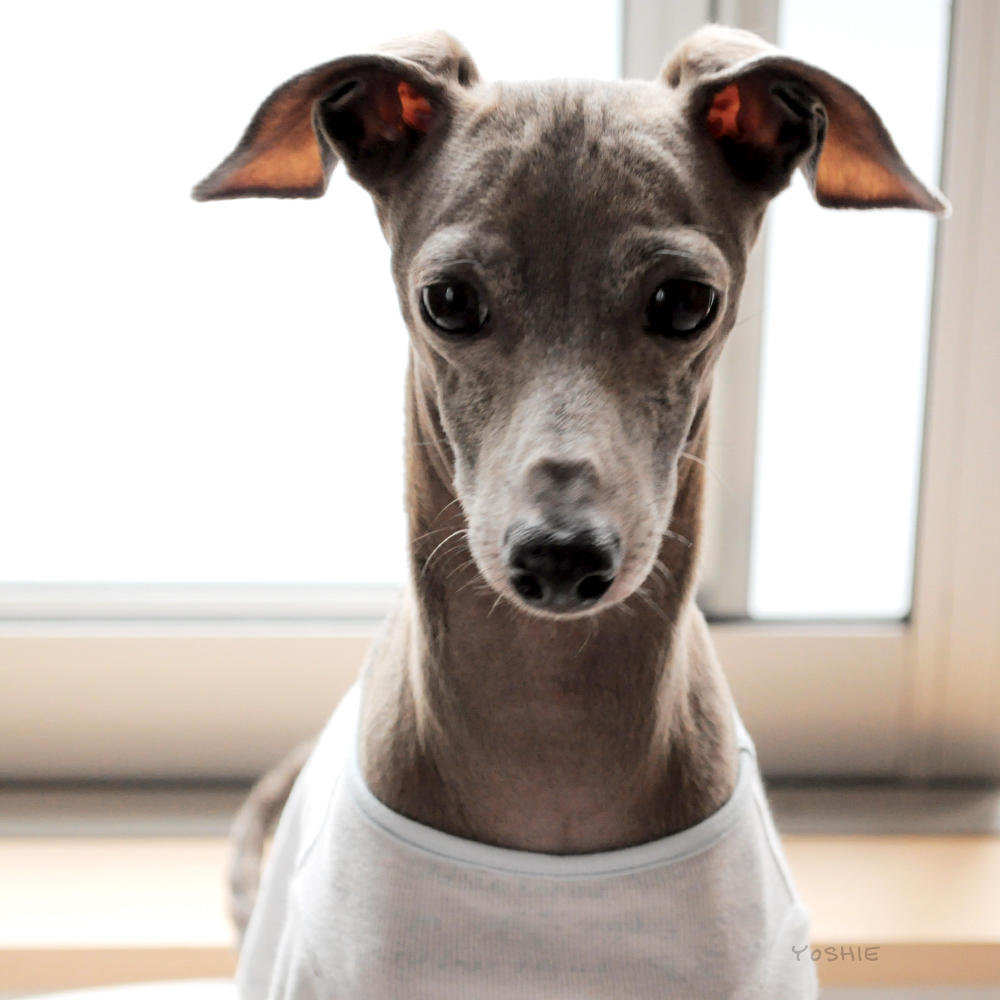 寝起きです。。